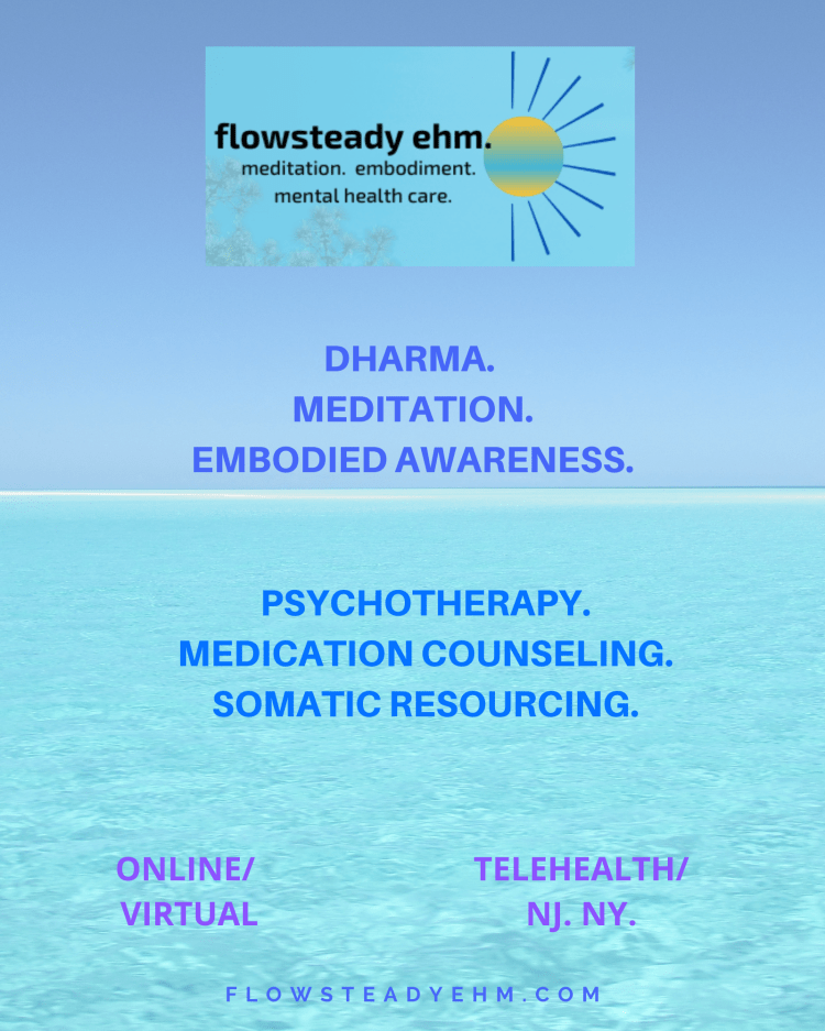 text "flowsteady ehm. meditation. embodiment. mental health care. dharma. meditation. embodied awareness. psychotherapy. medication counseling. somatic resourcing. online/virtual. Telehealth/ nj. ny." on blue ocean and sky background.