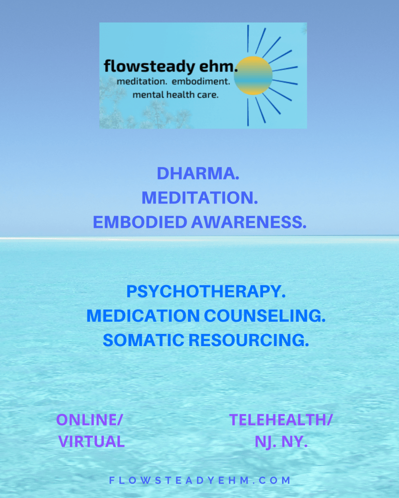 text "flowsteady ehm. meditation. embodiment. mental health care. dharma. meditation. embodied awareness. psychotherapy. medication counseling. somatic resourcing. online/virtual. Telehealth/ nj. ny." on blue ocean and sky background.